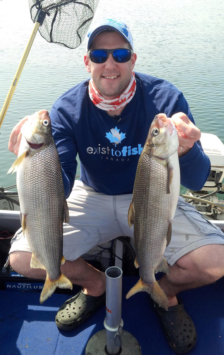 Ontario Summer Whitefish Northern Ontario Travel